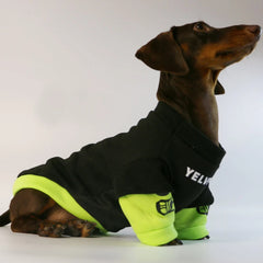 Dachshund French Bulldog Warm Pug Jumpsuit For Small Media Dog Clothes