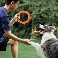 Flying Floating Training Dog Tools Fetch for Small Medium Large Dogs