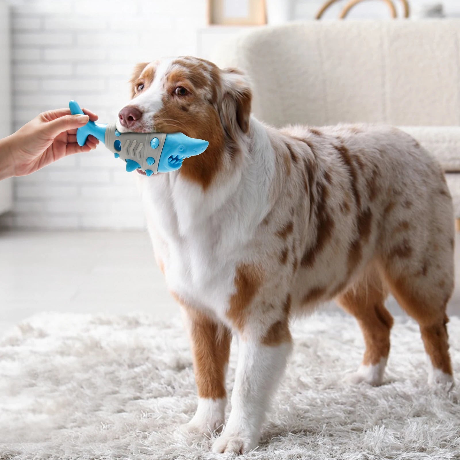 Pet Safe Rubber Teeth Cleaning Grinding Toys Chewing Food Dog Toys