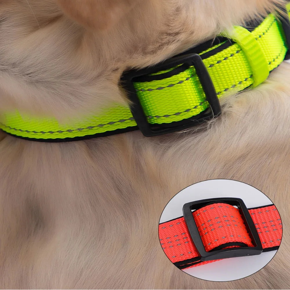Reflective Padded Durable Strong Ring Safety Nylon Pet Dog Collar