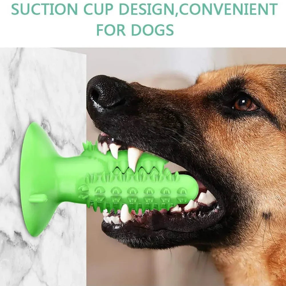 Teeth Cleaning Durable Small Medium Large Dog Interactive Training Toy