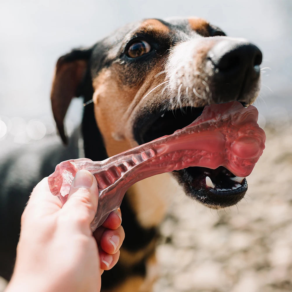 Aggressive Chewers Large Dog Bone-Shaped Indestructible Nylon Dog Toys