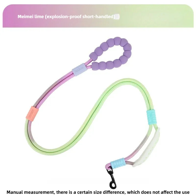 Anti-escape Walking Rope Dog Traction Diagonal Comfortable Foam Handle