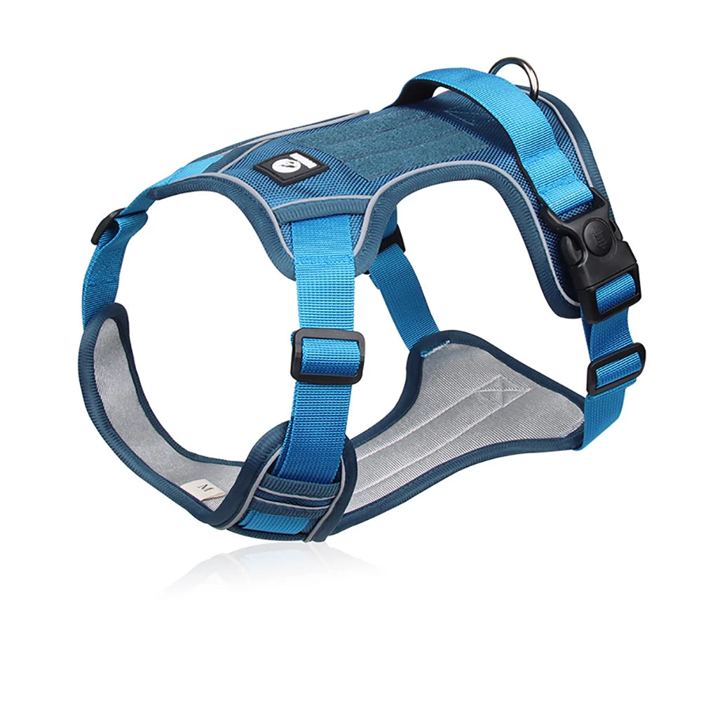 Durable Dog Harness & Leash Set Reflective Strap Adjustable Chest & Back Straps
