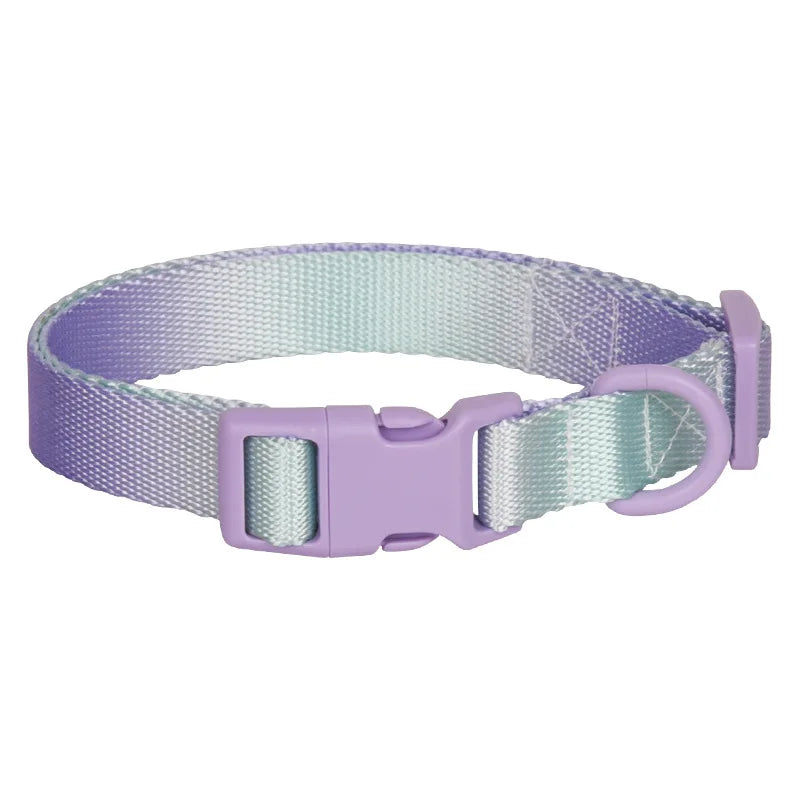 Durable Gradient Color Collar Adjustable Durable Nylon Dog Collar