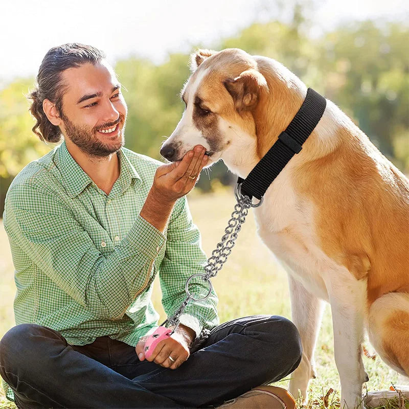 Adjustable Chain for Medium Large Nylon Dog Collars Outdoor Walk