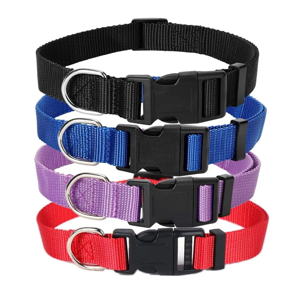 Adjustable Nylon Dog Collar with Heavy Duty Clip Buckle Webbing Collar