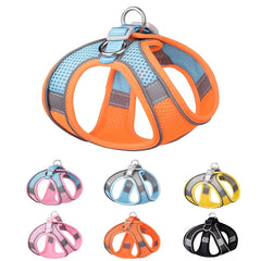 French Bulldog Chihuahua Pug Walking Lead Dog Harness Leash Set