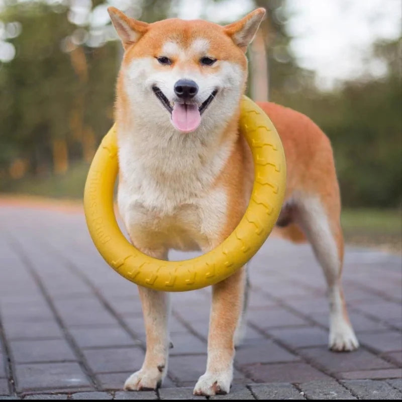 Flying Floating Training Dog Tools Fetch for Small Medium Large Dogs