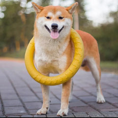 Flying Floating Training Dog Tools Fetch for Small Medium Large Dogs