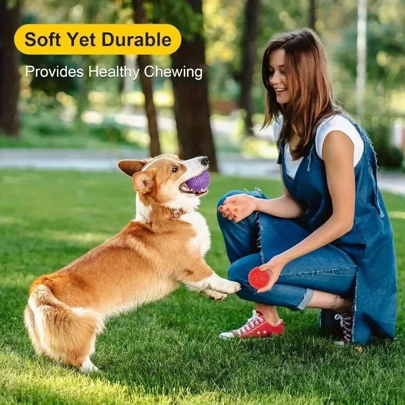 Balls for Teeth Cleaning Training - Safe BPA Free for Small Medium Dog