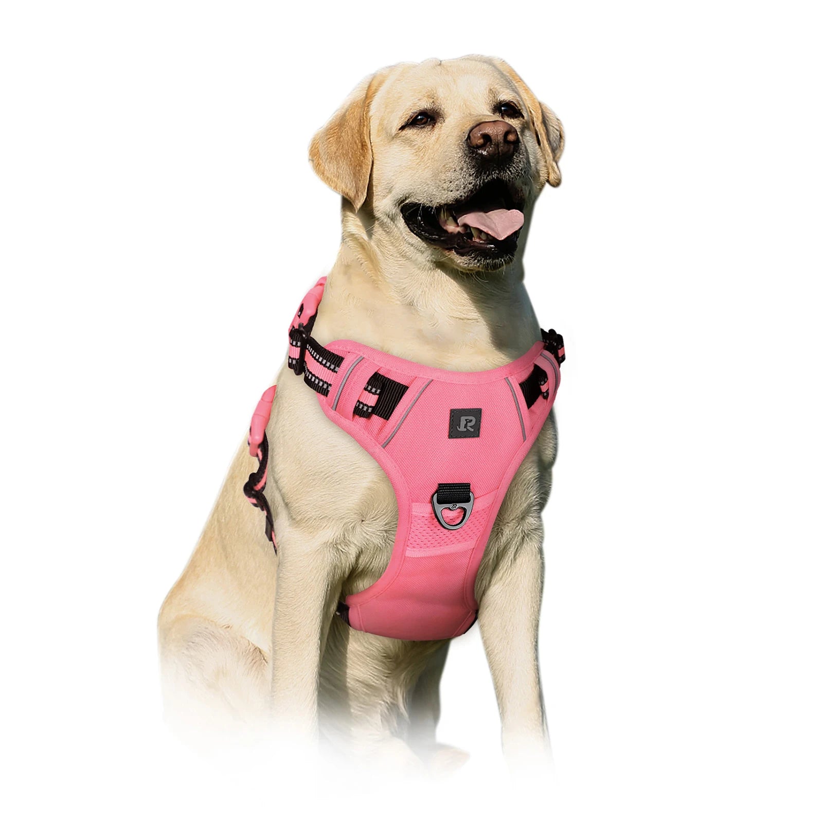 Adjustable Reflective Oxford Outdoor Front Back Leash Clips