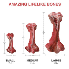 Aggressive Chewers Large Dog Bone-Shaped Indestructible Nylon Dog Toys