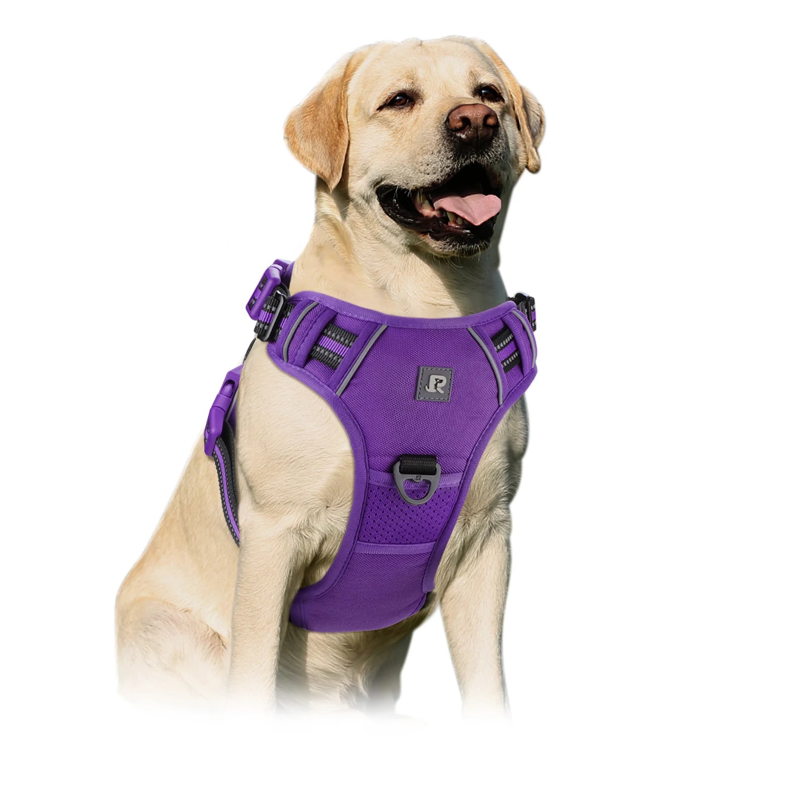Adjustable Reflective Oxford Outdoor Front Back Leash Clips