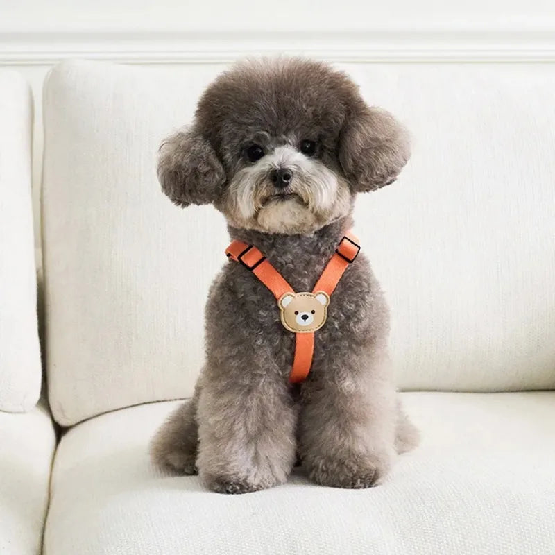 Out Walking Chest Cute Bear Pet Dog Harness Leash Set