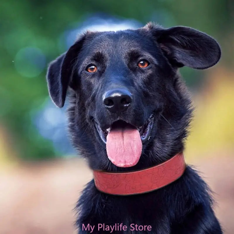 Walking Soft Medium Large Breeds Pet Training Leather Dog Collars