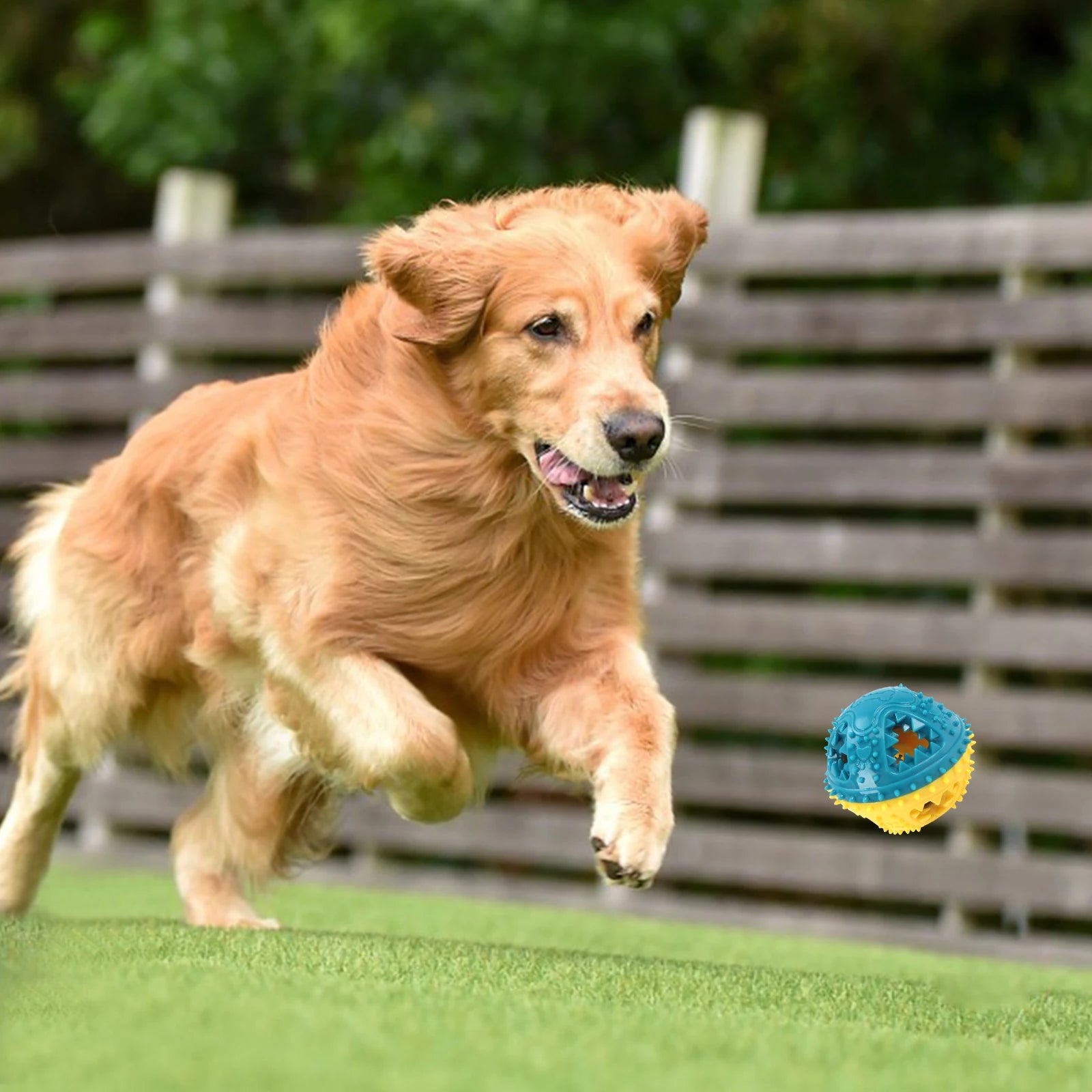 Grinding Teeth Sound Ball Toys Leaking Food Balls Training Dog Toys