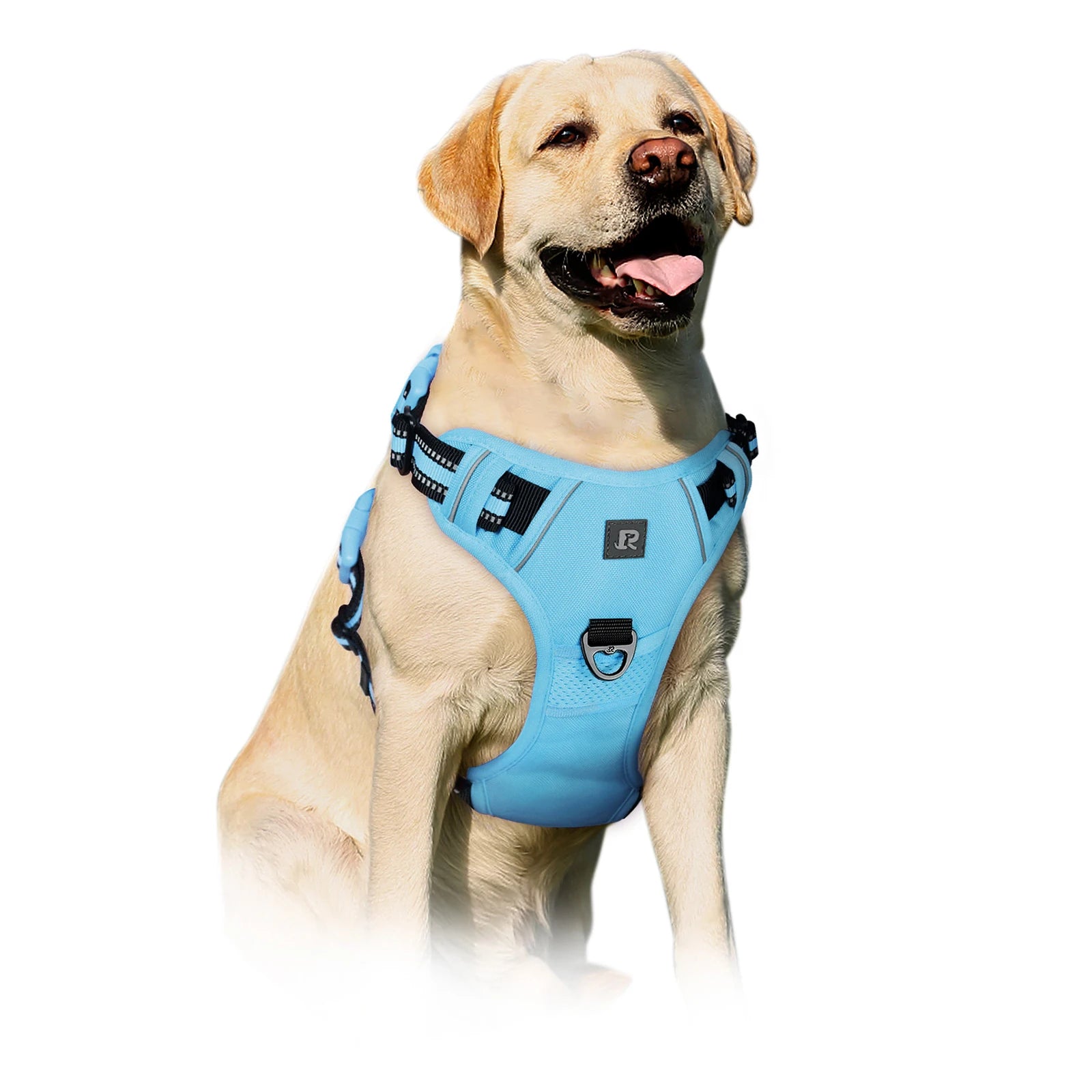 Adjustable Reflective Oxford Outdoor Front Back Leash Clips