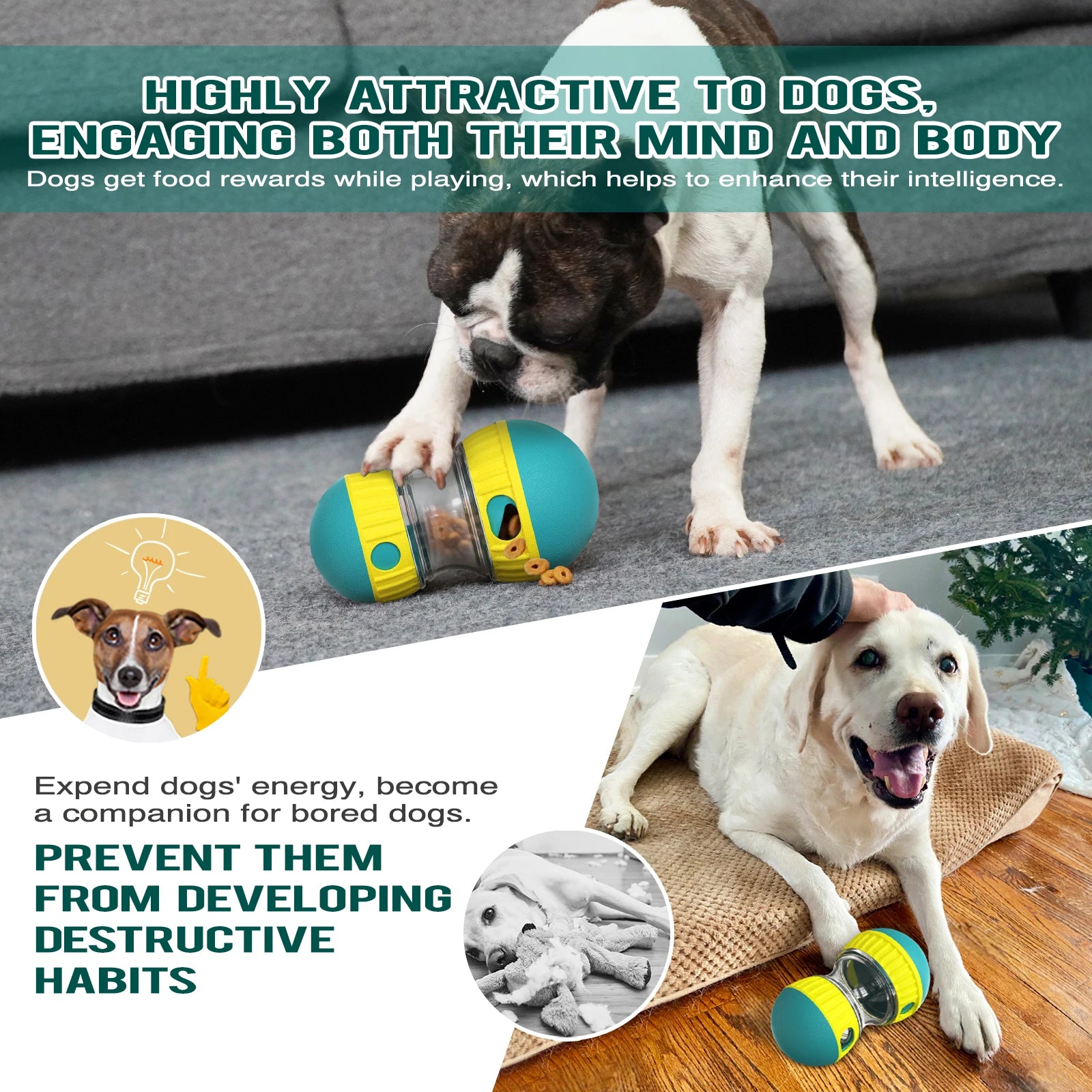 Indoor Training Puppy Toys Chihuahua French Bulldog Interactive Toys