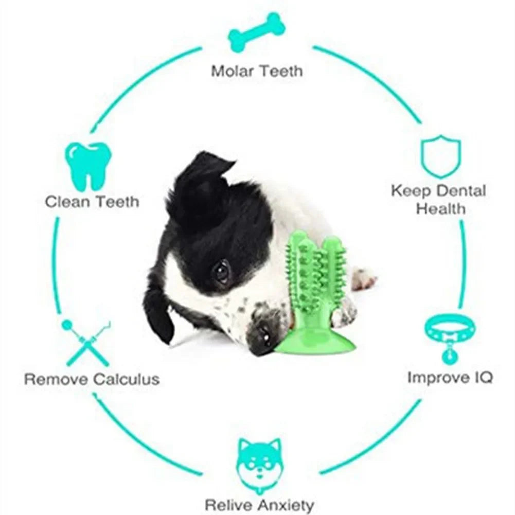 Teeth Cleaning Durable Small Medium Large Dog Interactive Training Toy