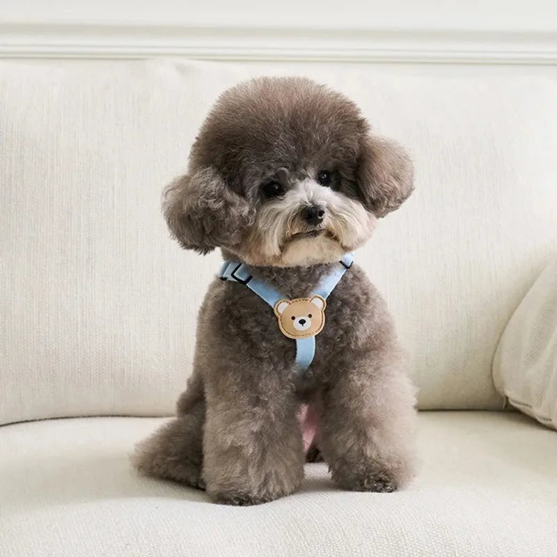 Out Walking Chest Cute Bear Pet Dog Harness Leash Set